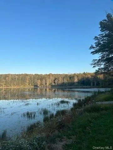 10 Dorm Drive Fallsburg, NY 12747