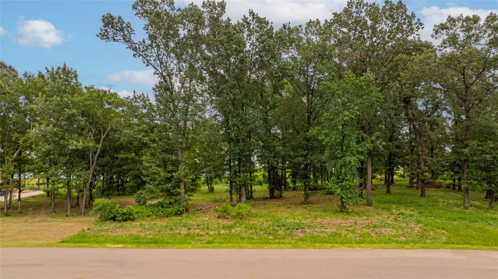 Waters Edge Lane Scroggins, TX 75480