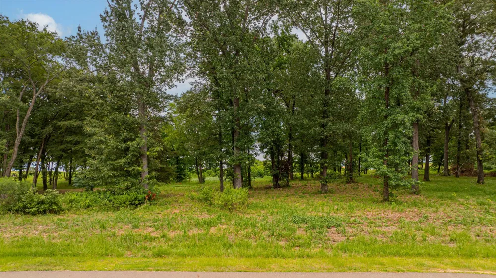 Waters Edge Lane Scroggins, TX 75480