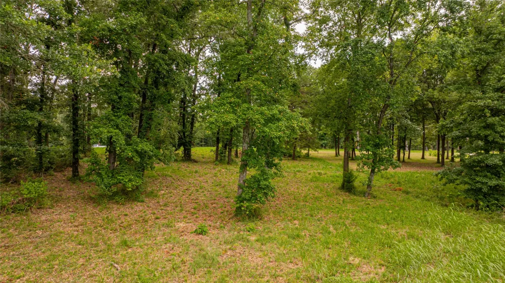 Waters Edge Lane Scroggins, TX 75480