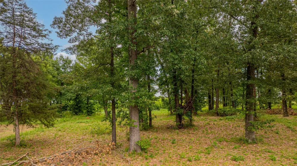 Waters Edge Lane Scroggins, TX 75480