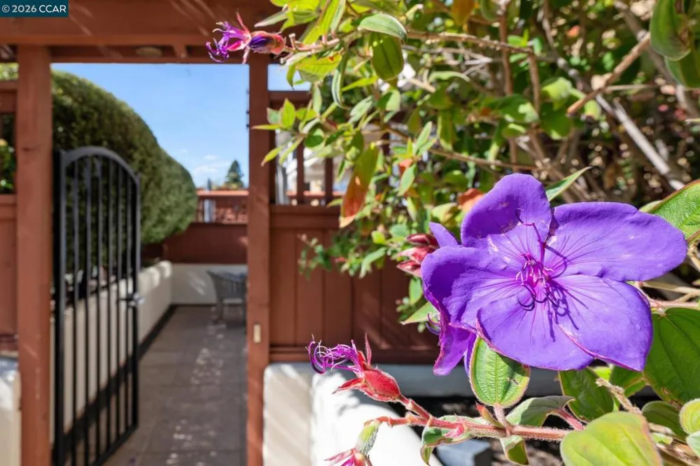 70 Neds Way Tiburon, CA 94920