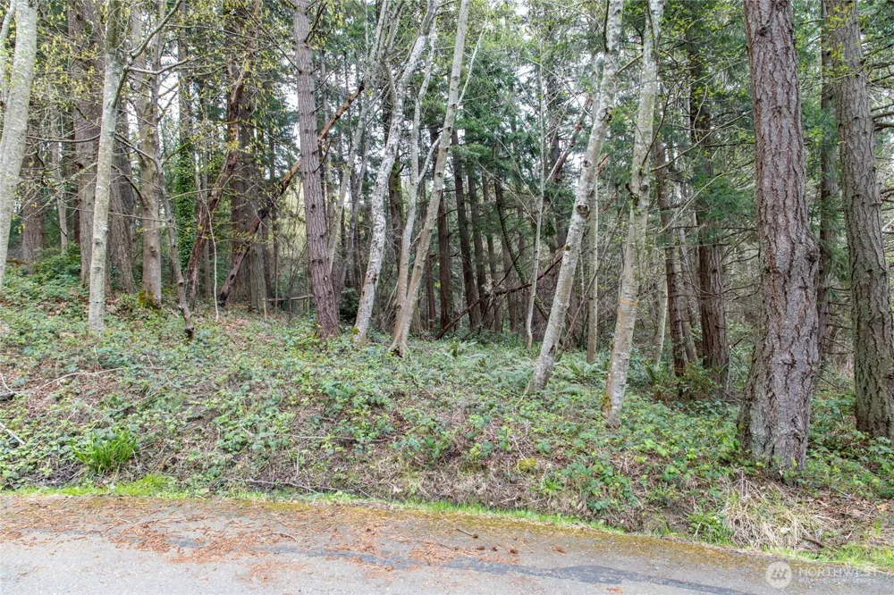 9190 Fox Cove Lane NE Bainbridge Island, WA 98110