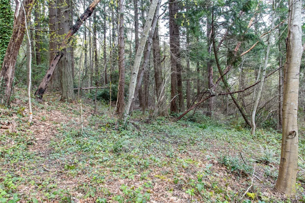 9190 Fox Cove Lane NE Bainbridge Island, WA 98110