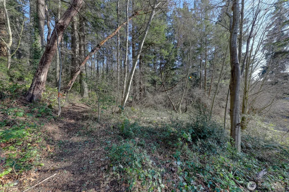9190 Fox Cove Lane NE Bainbridge Island, WA 98110