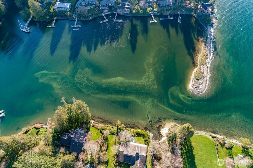 9190 Fox Cove Lane NE Bainbridge Island, WA 98110