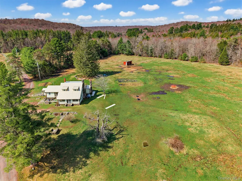 85 Lenape Lake Road Livingston Manor, NY 12758