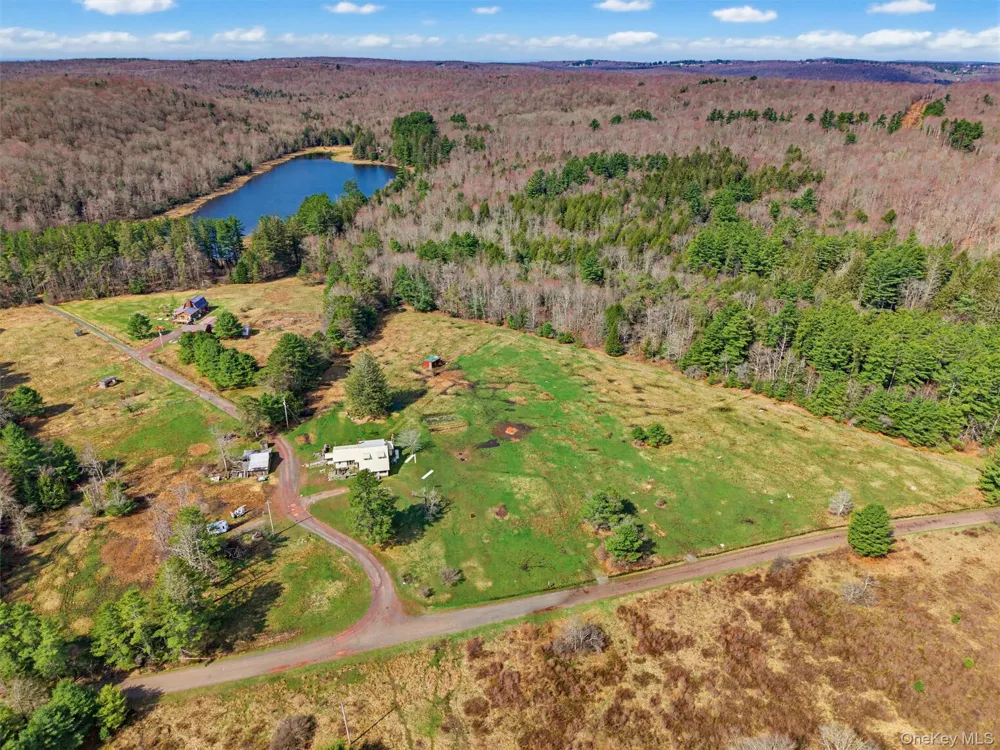 85 Lenape Lake Road Livingston Manor, NY 12758