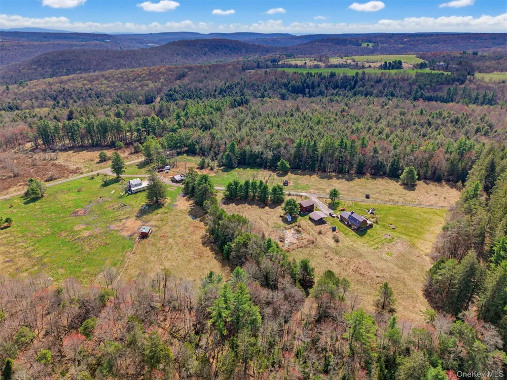 85 Lenape Lake Road Livingston Manor, NY 12758
