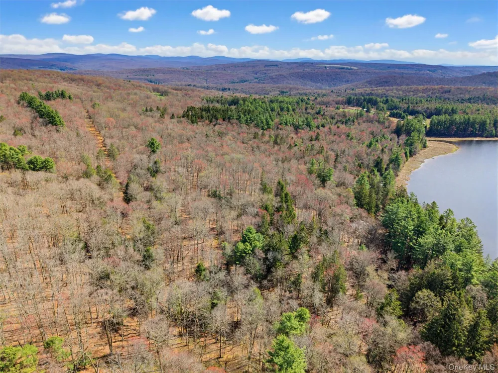 85 Lenape Lake Road Livingston Manor, NY 12758