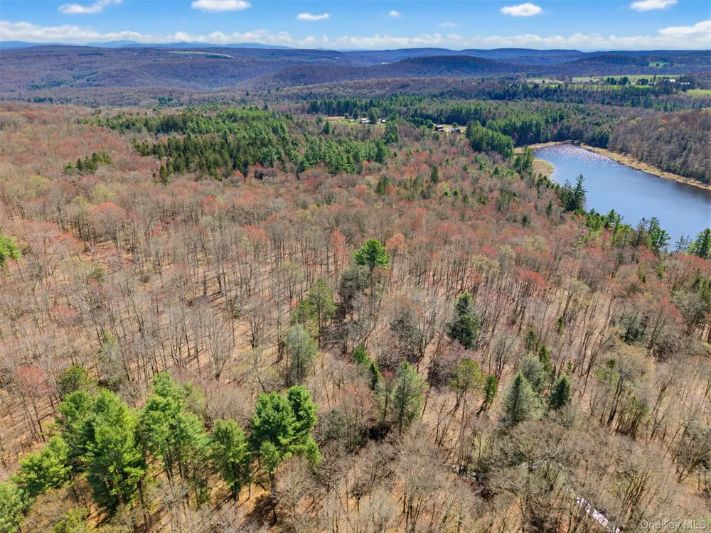 85 Lenape Lake Road Livingston Manor, NY 12758
