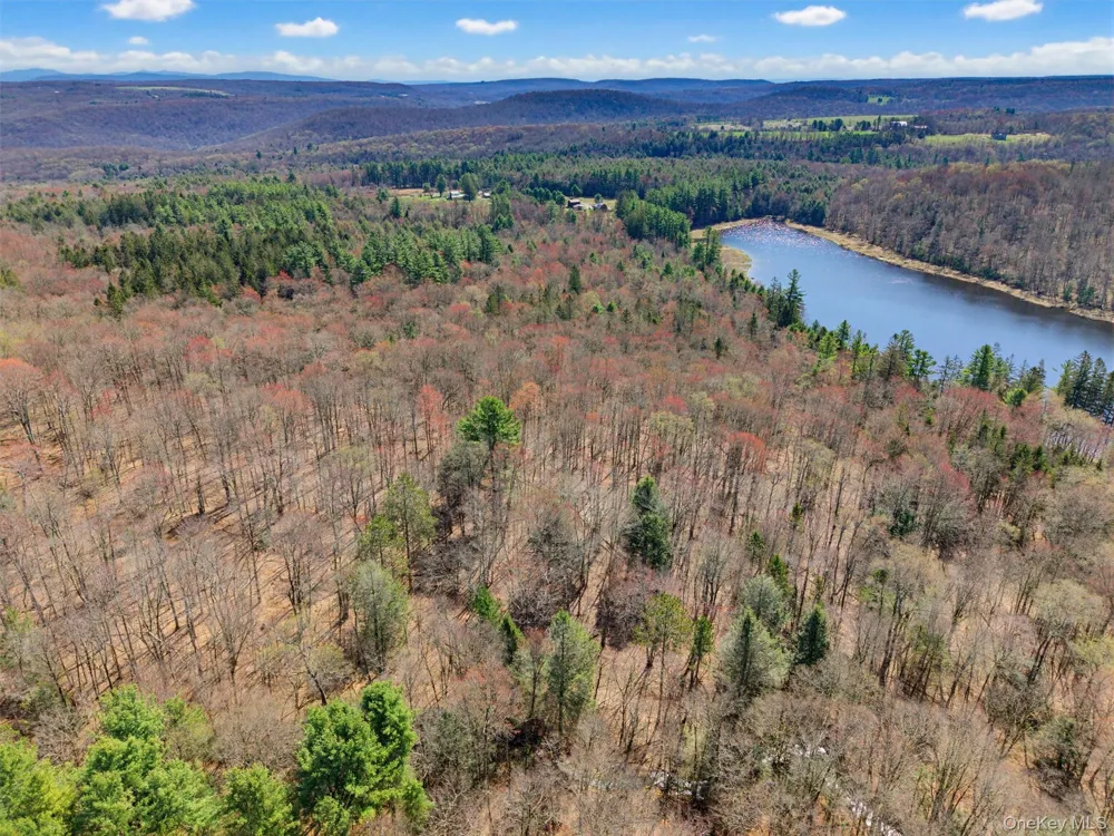 85 Lenape Lake Road Livingston Manor, NY 12758