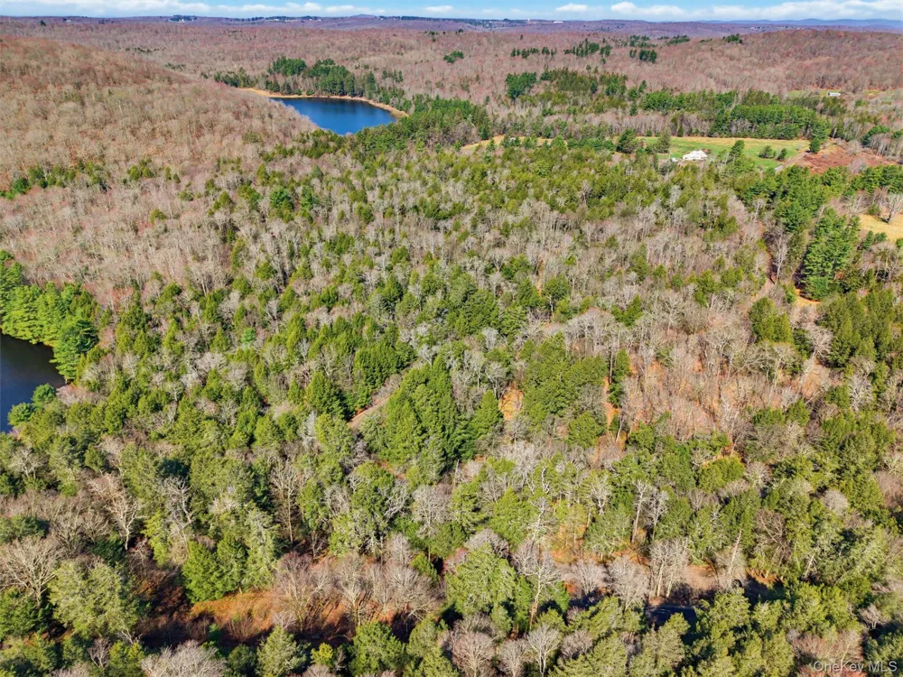 85 Lenape Lake Road Livingston Manor, NY 12758