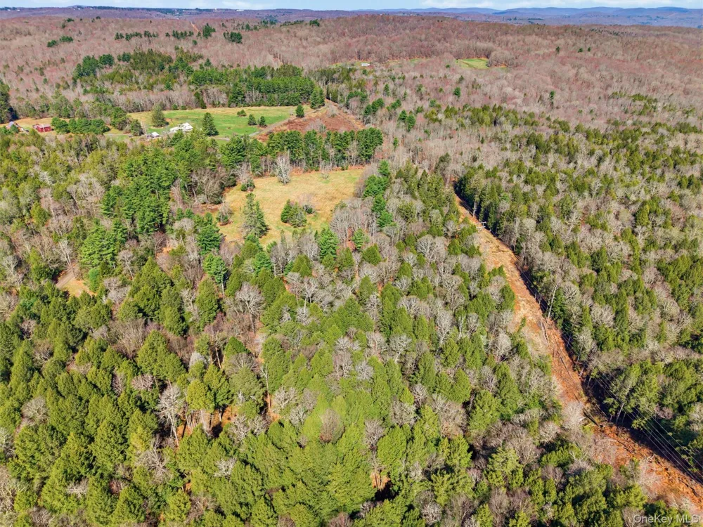 85 Lenape Lake Road Livingston Manor, NY 12758