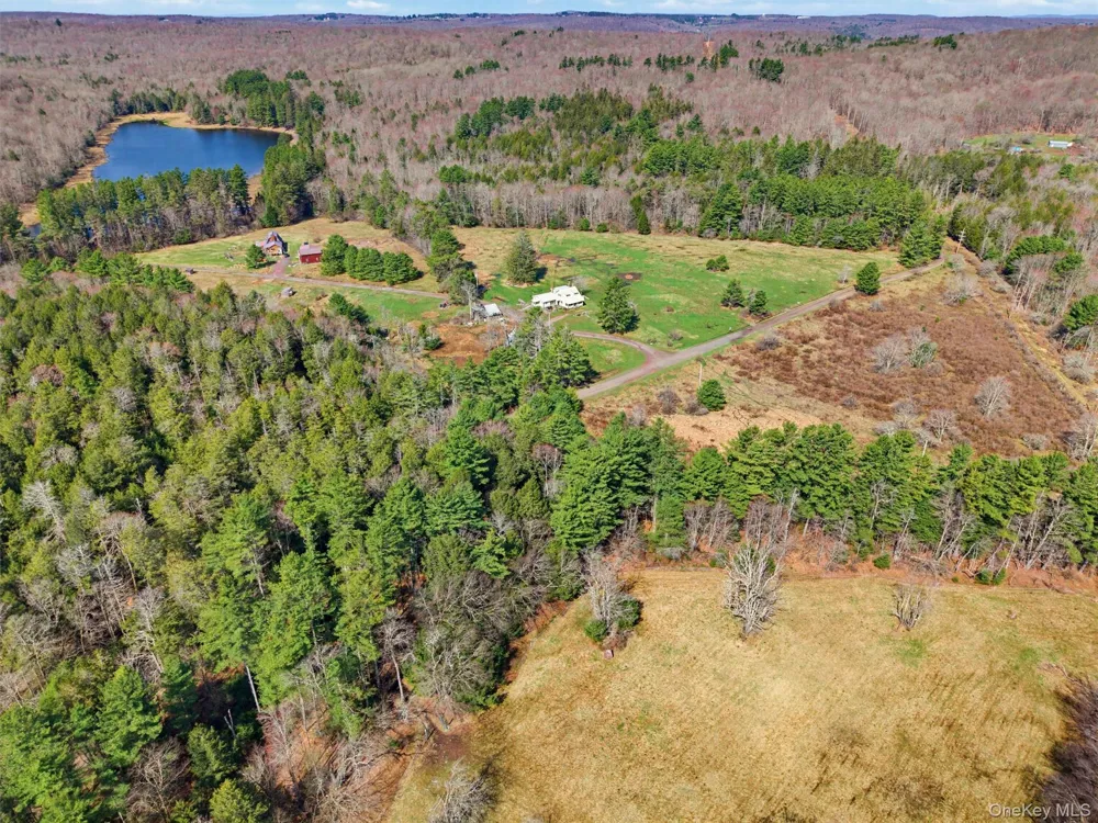 85 Lenape Lake Road Livingston Manor, NY 12758