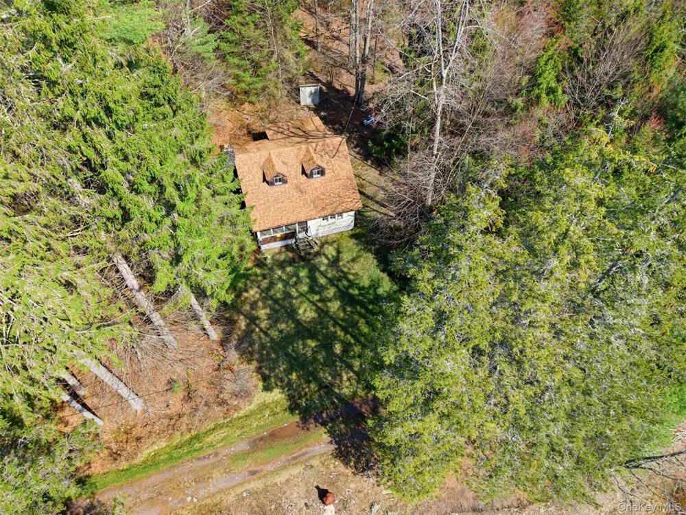 85 Lenape Lake Road Livingston Manor, NY 12758