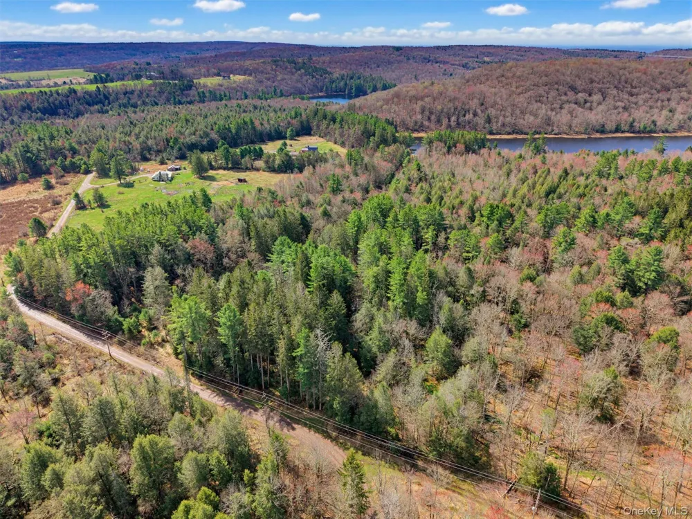 85 Lenape Lake Road Livingston Manor, NY 12758