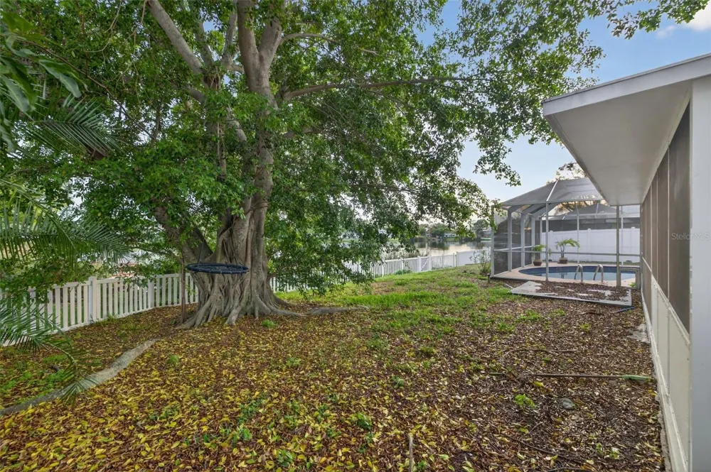 1414 85TH AVENUE St Petersburg, FL 33702