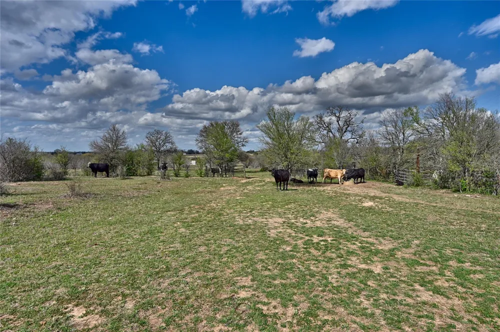 Fm 2440 Giddings, TX 78942