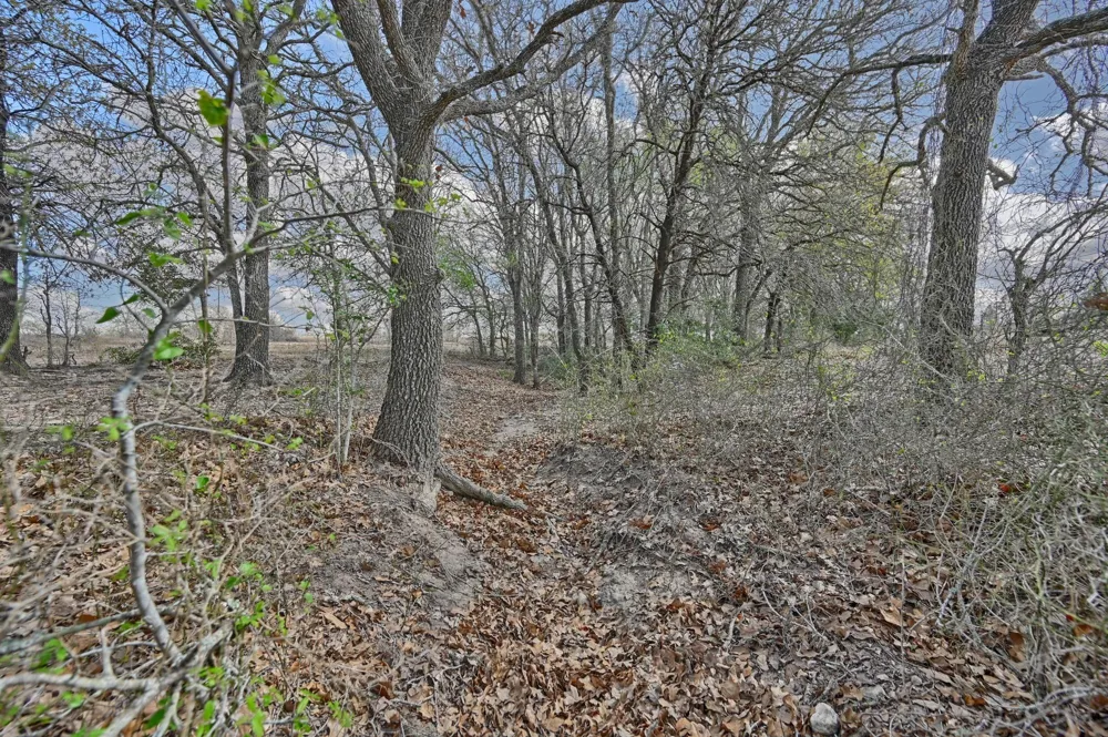 Fm 2440 Giddings, TX 78942