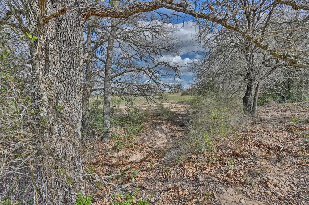 Fm 2440 Giddings, TX 78942