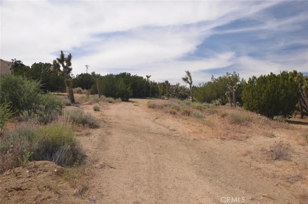 Longview & Old Homestead Juniper Hills, CA 93543