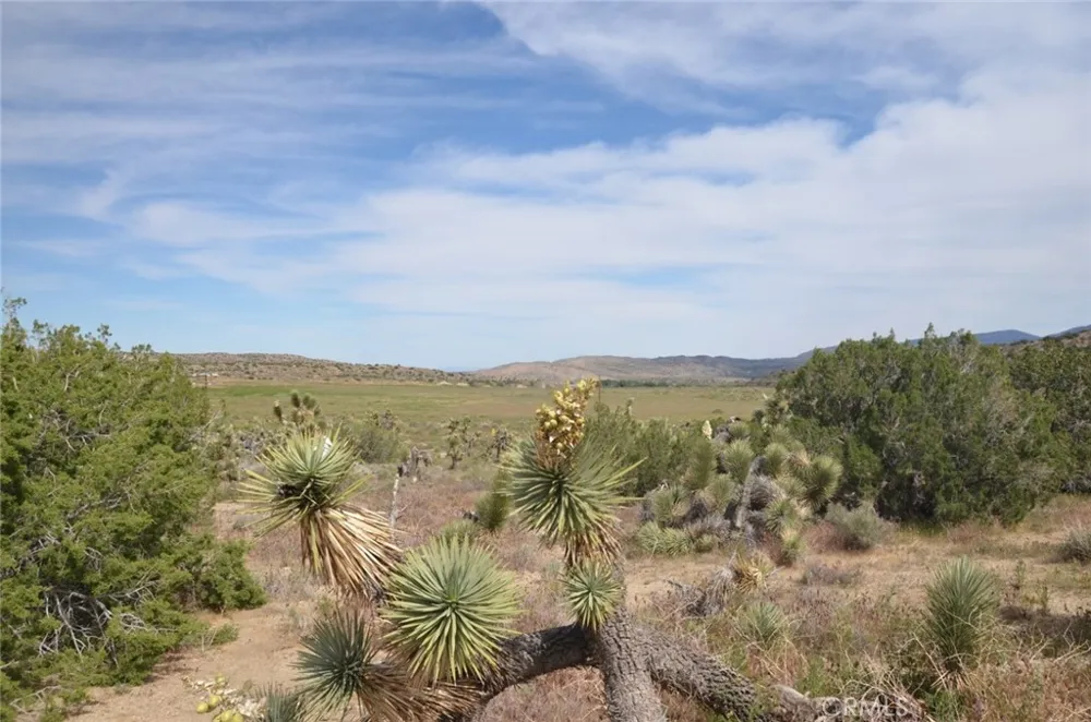 Longview & Old Homestead Juniper Hills, CA 93543