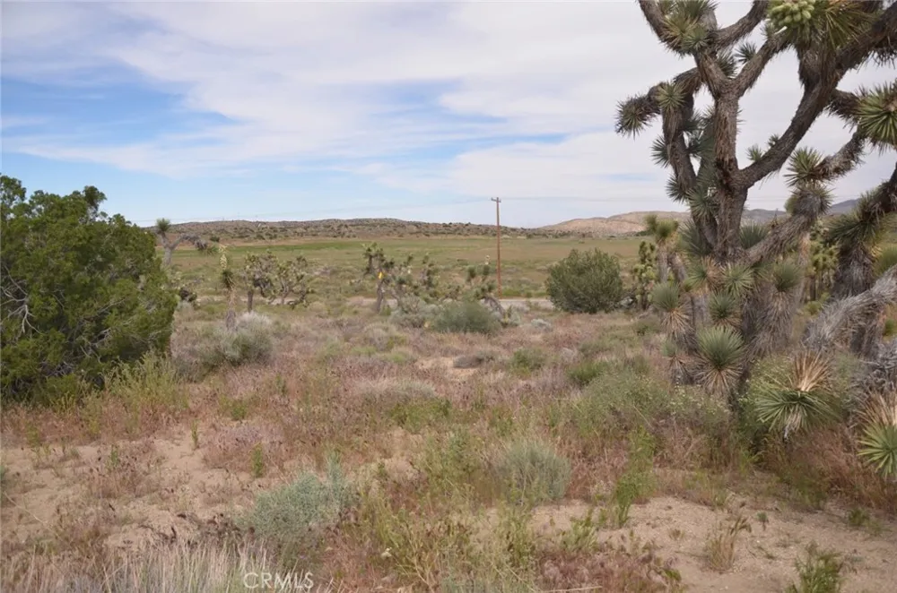 Longview & Old Homestead Juniper Hills, CA 93543
