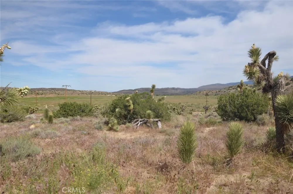 Longview & Old Homestead Juniper Hills, CA 93543