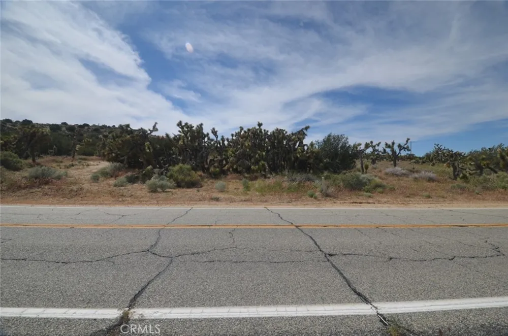 Longview & Old Homestead Juniper Hills, CA 93543