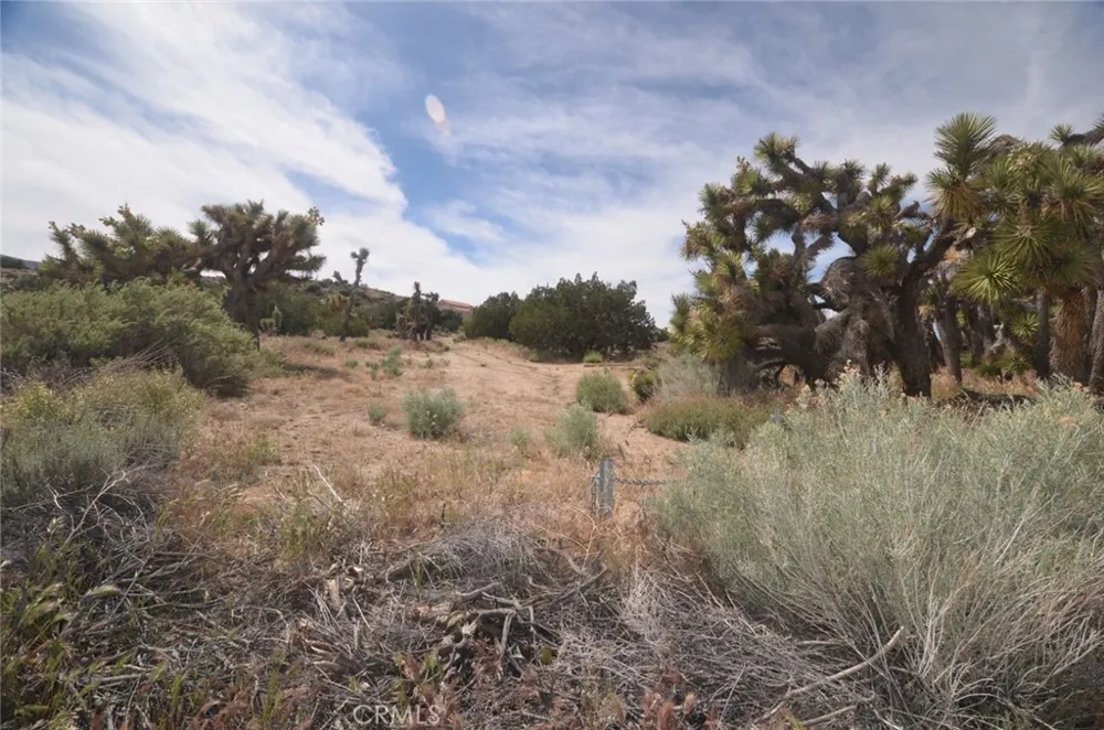 Longview & Old Homestead Juniper Hills, CA 93543