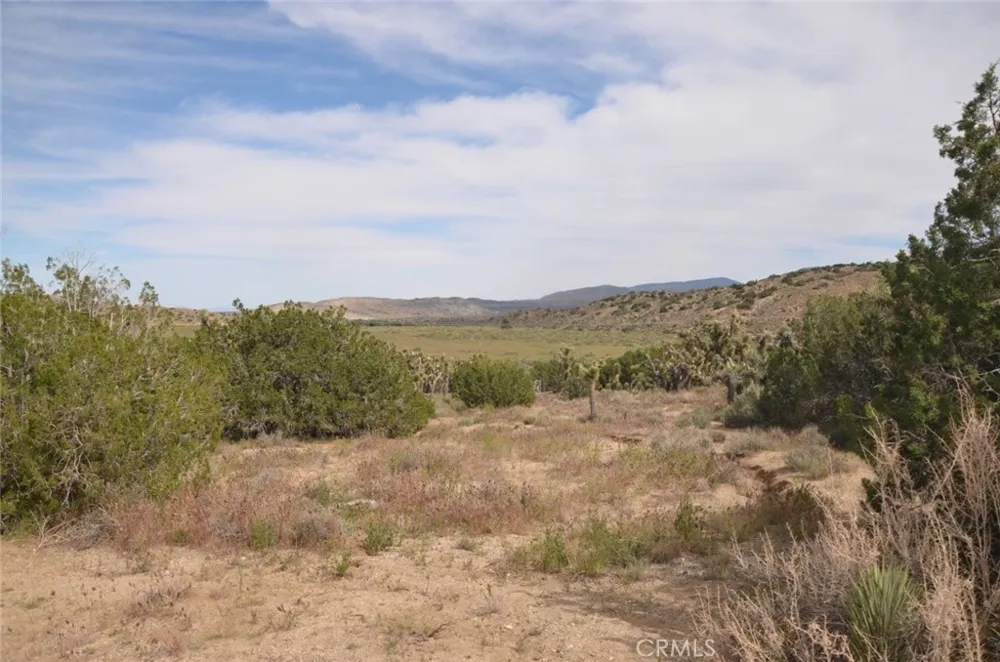 Longview & Old Homestead Juniper Hills, CA 93543