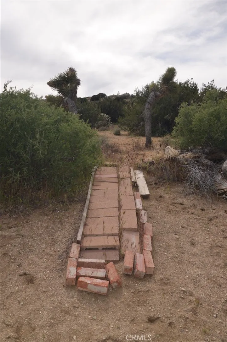 Longview & Old Homestead Juniper Hills, CA 93543
