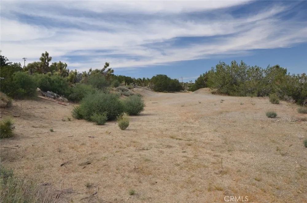 Longview & Old Homestead Juniper Hills, CA 93543