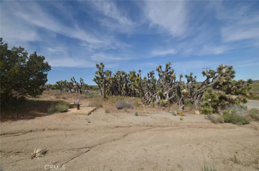 Longview & Old Homestead Juniper Hills, CA 93543