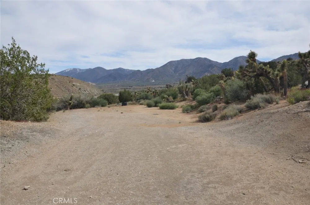 Longview & Old Homestead Juniper Hills, CA 93543