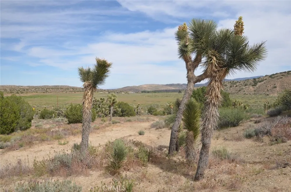 Longview & Old Homestead Juniper Hills, CA 93543
