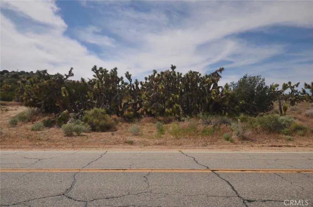 Longview & Old Homestead Juniper Hills, CA 93543