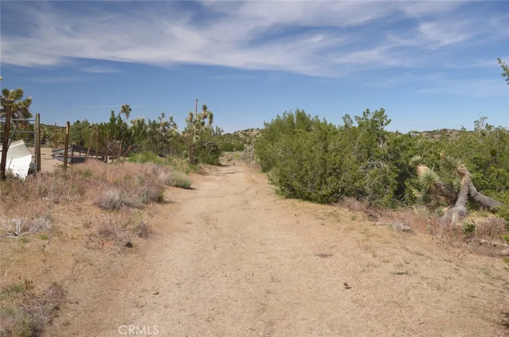 Longview x Old Homestead Juniper Hills, CA 93553