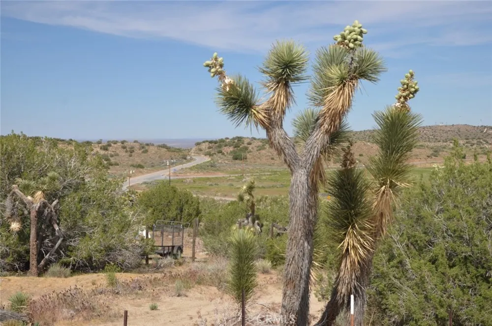 Longview x Old Homestead Juniper Hills, CA 93553