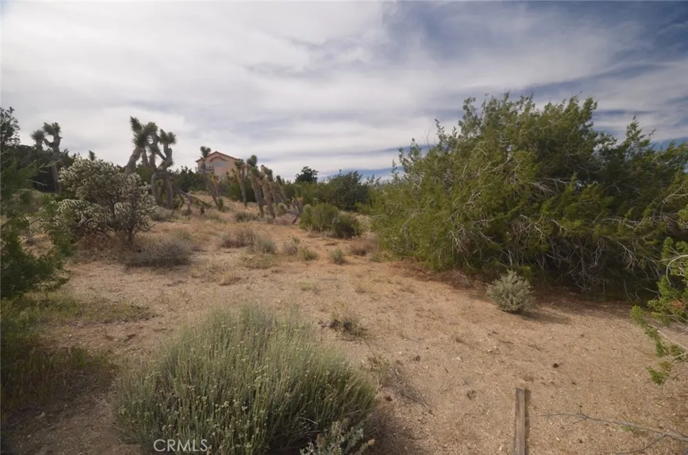 Longview x Old Homestead Juniper Hills, CA 93553