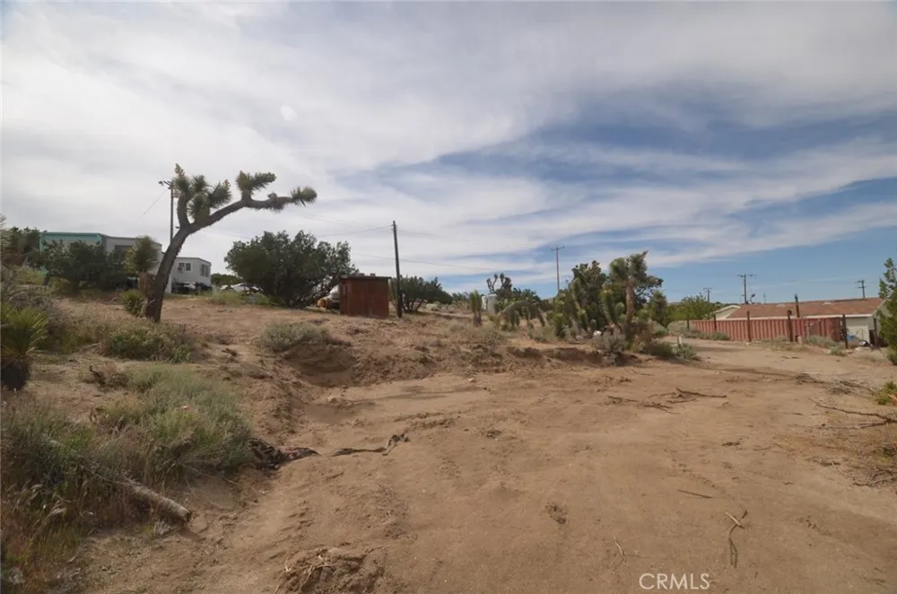 Longview x Old Homestead Juniper Hills, CA 93553