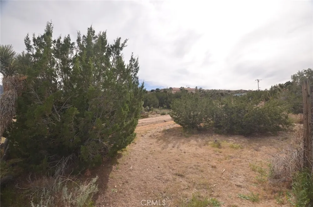 Longview x Old Homestead Juniper Hills, CA 93553