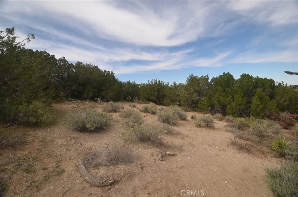 Longview x Old Homestead Juniper Hills, CA 93553
