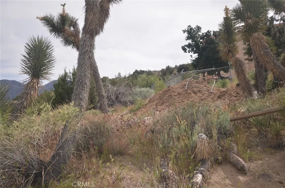 Longview x Old Homestead Juniper Hills, CA 93553