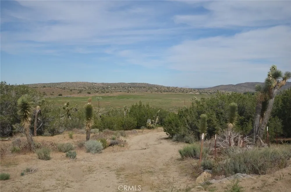 Longview x Old Homestead Juniper Hills, CA 93553