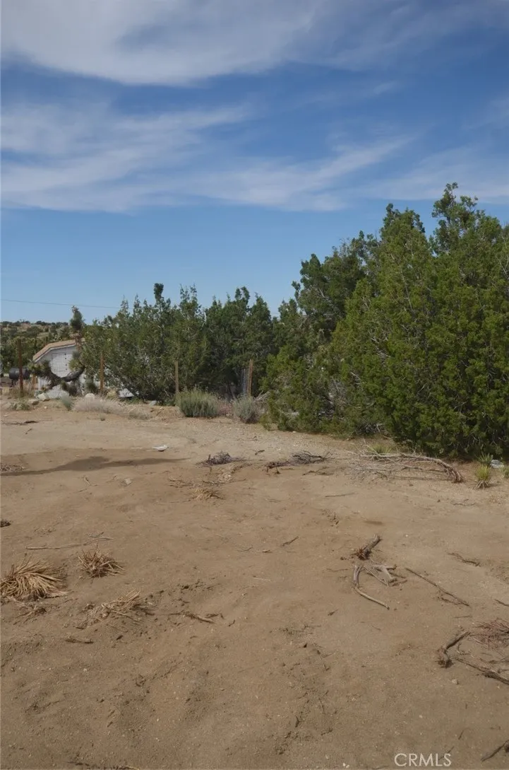 Longview x Old Homestead Juniper Hills, CA 93553