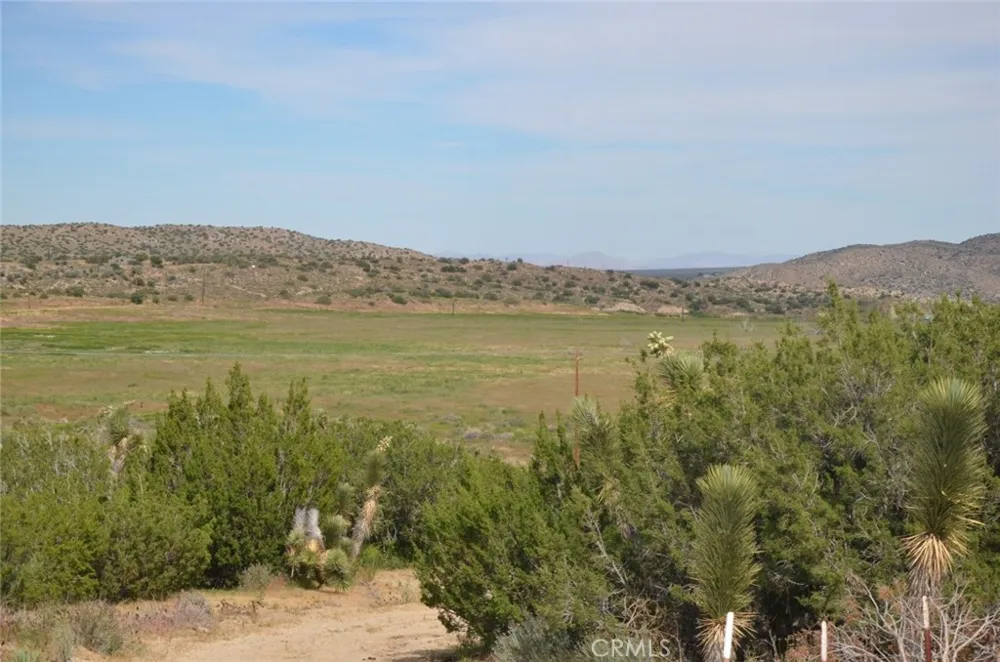 Longview x Old Homestead Juniper Hills, CA 93553