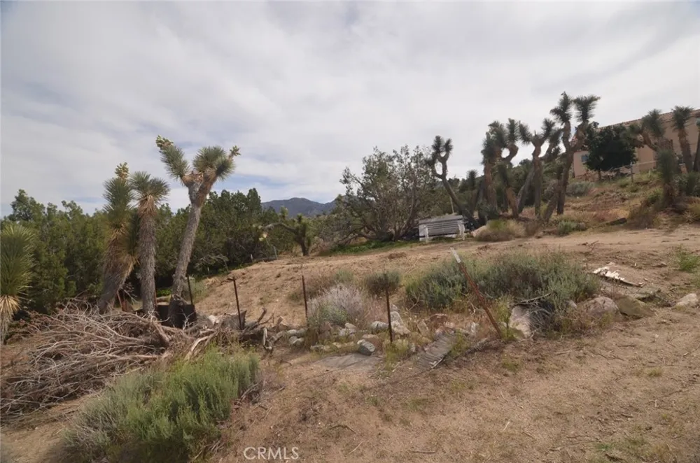 Longview x Old Homestead Juniper Hills, CA 93553