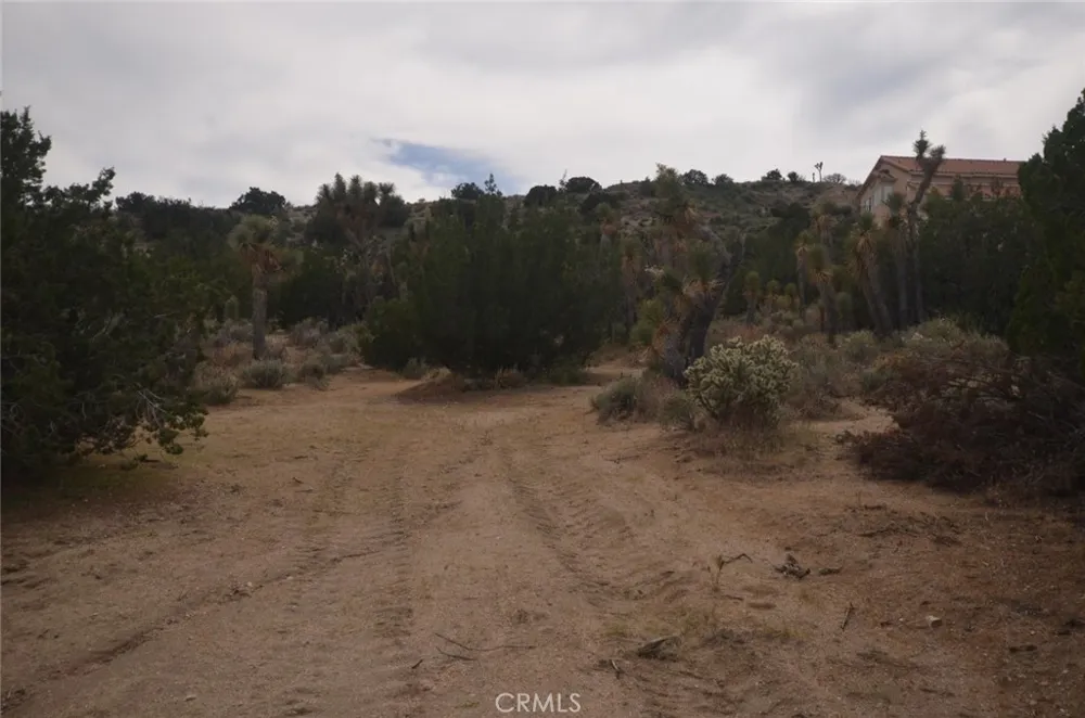Longview x Old Homestead Juniper Hills, CA 93553
